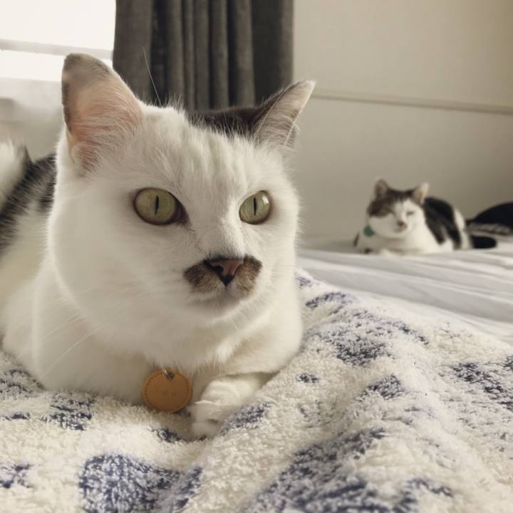 20002215 3121 44c2 a615 9acf078fea43 1562297006865