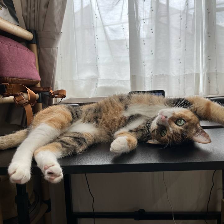 200026d4 fe87 40fa 9eef cddc6665973c 1722555342023