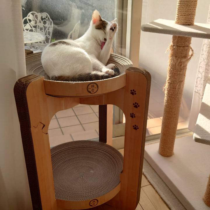 2000b9d1 c2e9 46be a22f 60dbea4e70e6 1698040242968