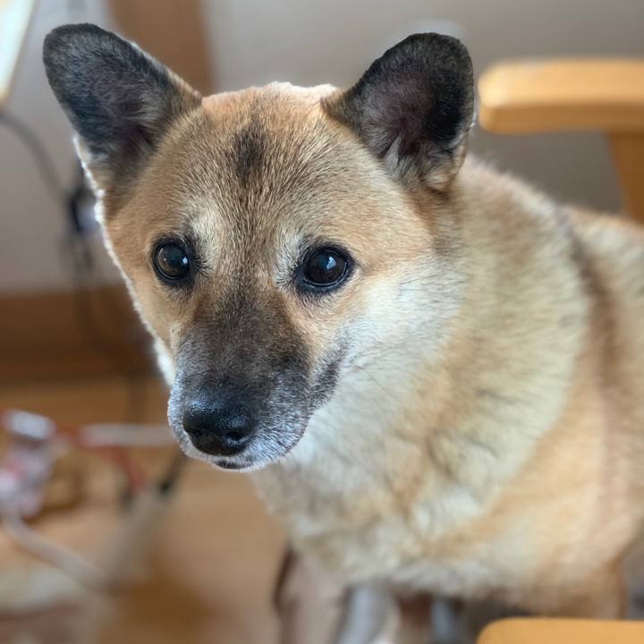 2000bad3 5b8c 4cd2 a20c 4396a68ea250 1537918615664