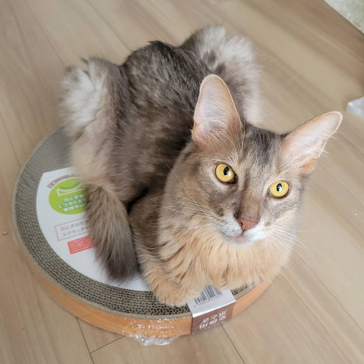 2000d81c a2fe 4942 b7d8 f78ffb2b6778 1657596160356