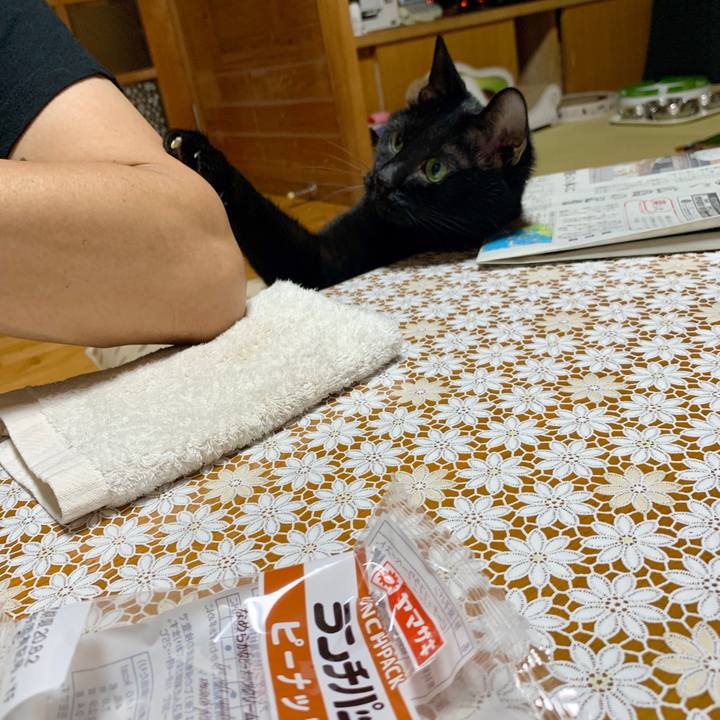 2000e639 32b3 4a2b 9476 626c810a55a1 1596106685745