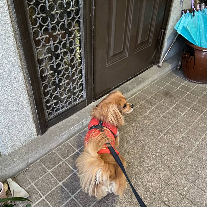 2000f85b 8bad 4ee6 9589 790c81fb3f72 1578698849986