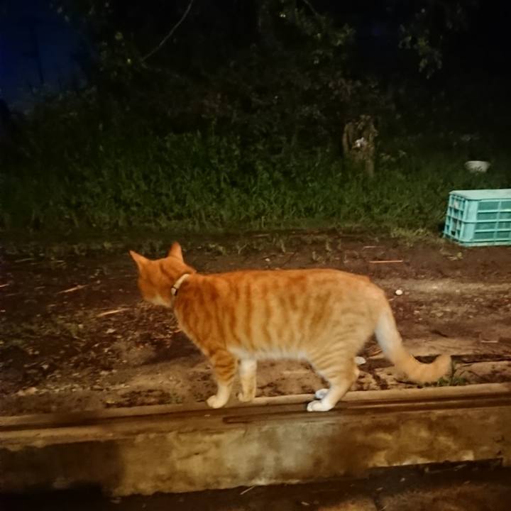 20010d4e 6c6a 4a9a ab6c bc79407d6817 1596971752259