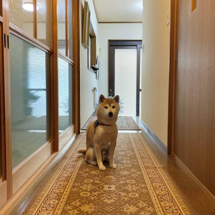 20012370 9494 45ea 9d1f cdc792bf169f 1687348131797