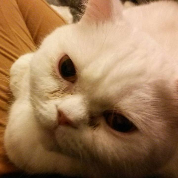 20012bf5 7d8c 489a b585 c7e10b9ecc6f 1518779106334