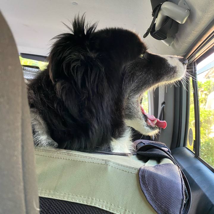 20012fb9 42a0 41bf b850 5345b9124d57 1657749867295