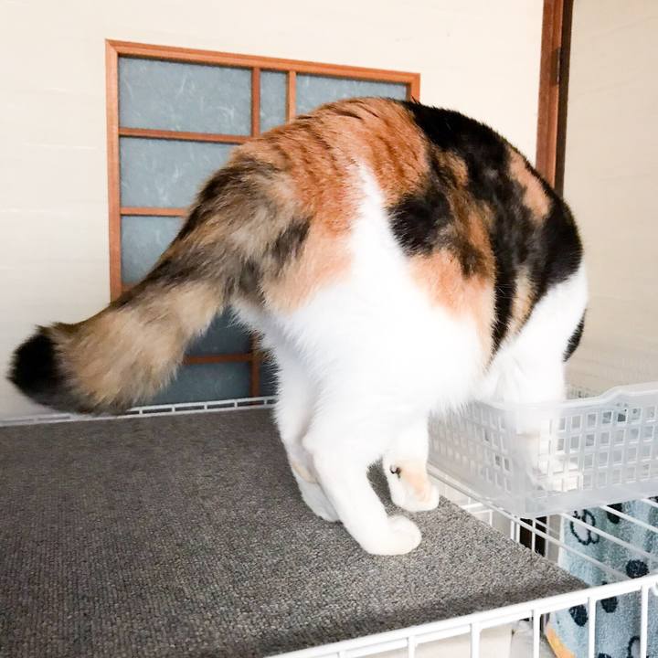 2001f794 4024 48a5 81d3 0a66c37f318c 1525703662731