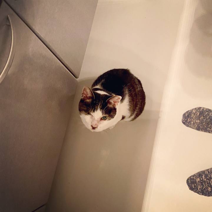 2002099b 1718 40ff bedd 8c4836bac275 1585584880655