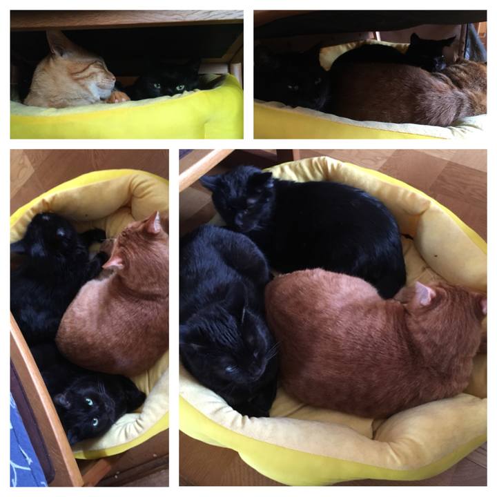 20021031 2d4e 451b 8fe4 e454d19930d2 1544324052515