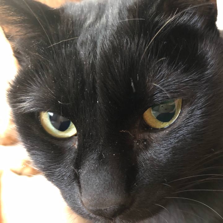 2002c5e0 166f 4a37 b83a bb22ed64431c 1675462823371