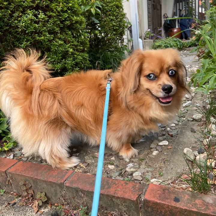 2002dfa4 5ea0 4c87 8431 b76082d9267a 1598305604782