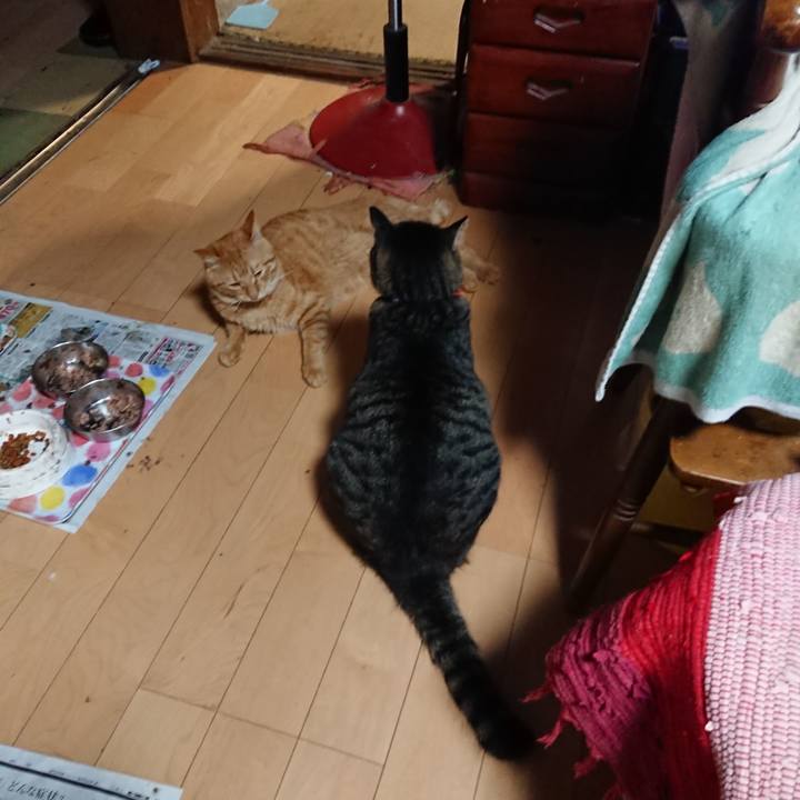 2002f159 94ce 4d56 abbd c69b09822c7b 1662201015144