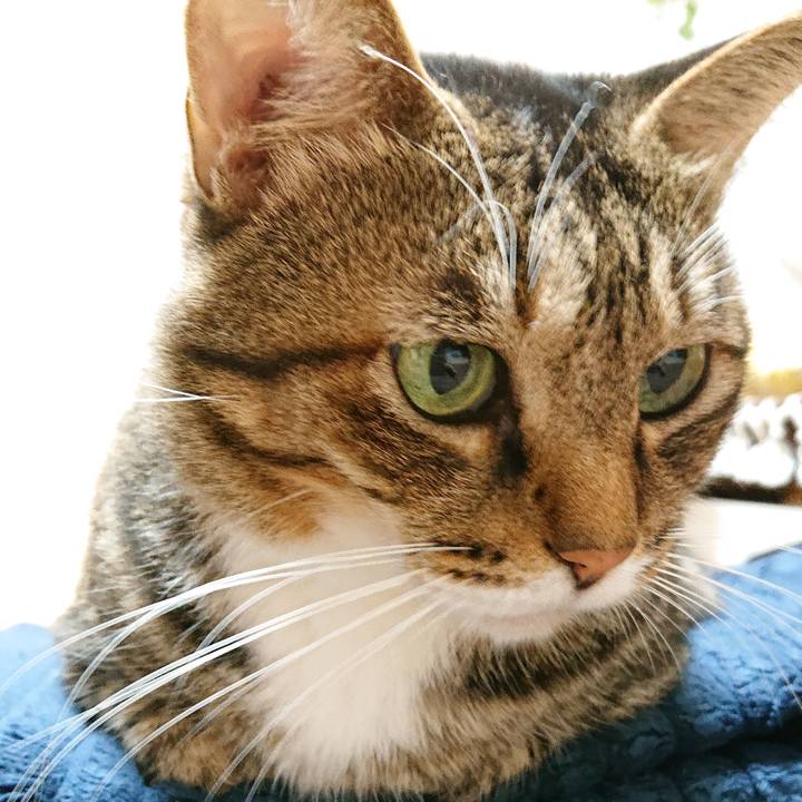 20030f30 12dd 45f9 8ece af6236e05558 1695429652297