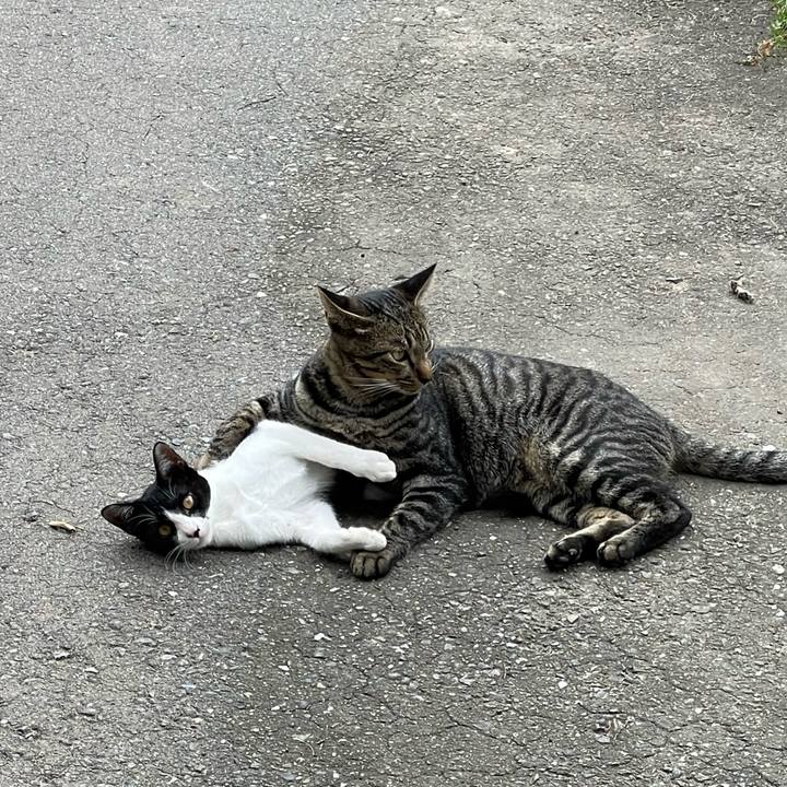 20032bc9 ab8e 4db4 8af8 9e5b63188d13 1663239362209