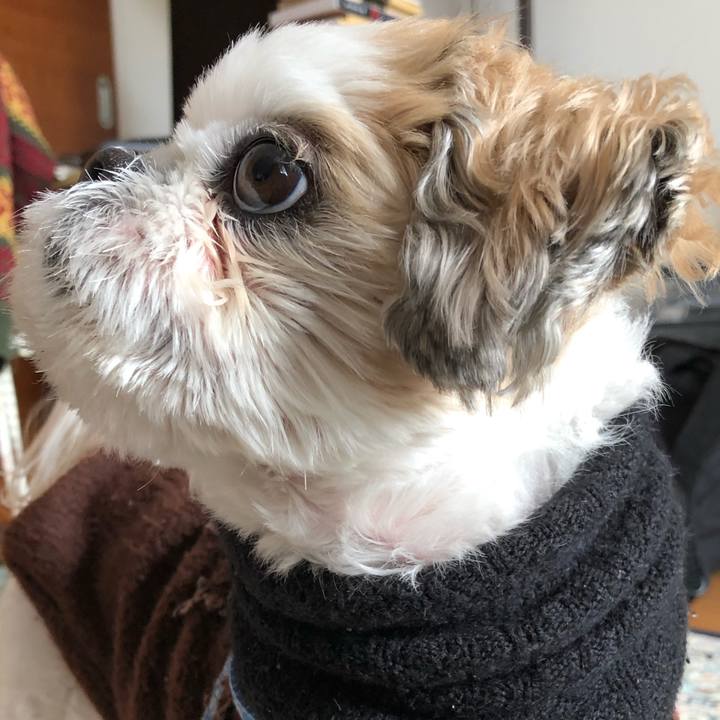 20033d99 edc4 4aa0 82fa eb3531253d22 1579817081859