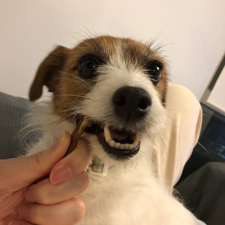 20036481 5b0f 48c3 9ed1 4c95dd34c581 1586005700048