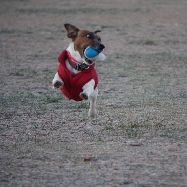 2003665b 3970 48bf b3f6 d55581e9e1eb 1548198359524