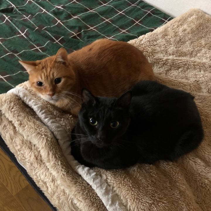 20038728 1ecc 4e18 b4a6 c131aa57bfc9 1697753649907