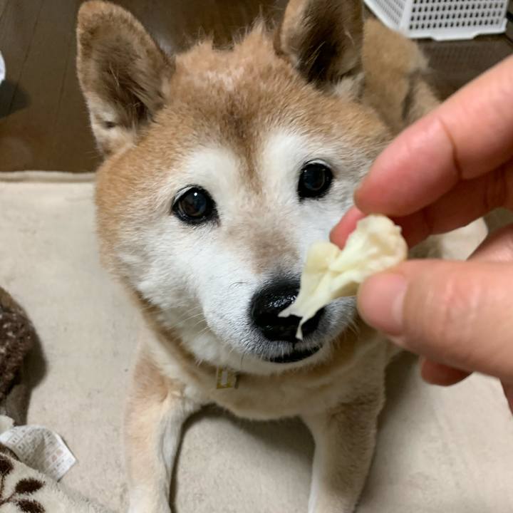 200392ec 16ca 4a1c aa62 f3fac95c2483 1581342035520