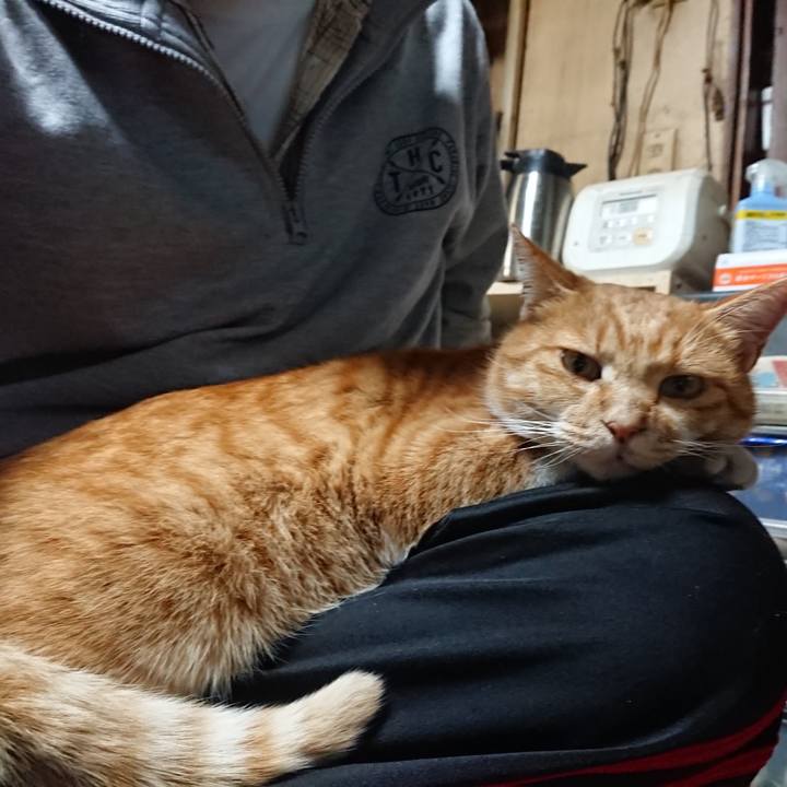 2003ad7d 110f 4cca 99f9 0277c3756a45 1605262552910