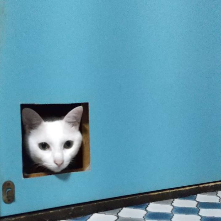 2003bfd1 d2f6 44df 8ef4 4a971d4288af 1594388399558