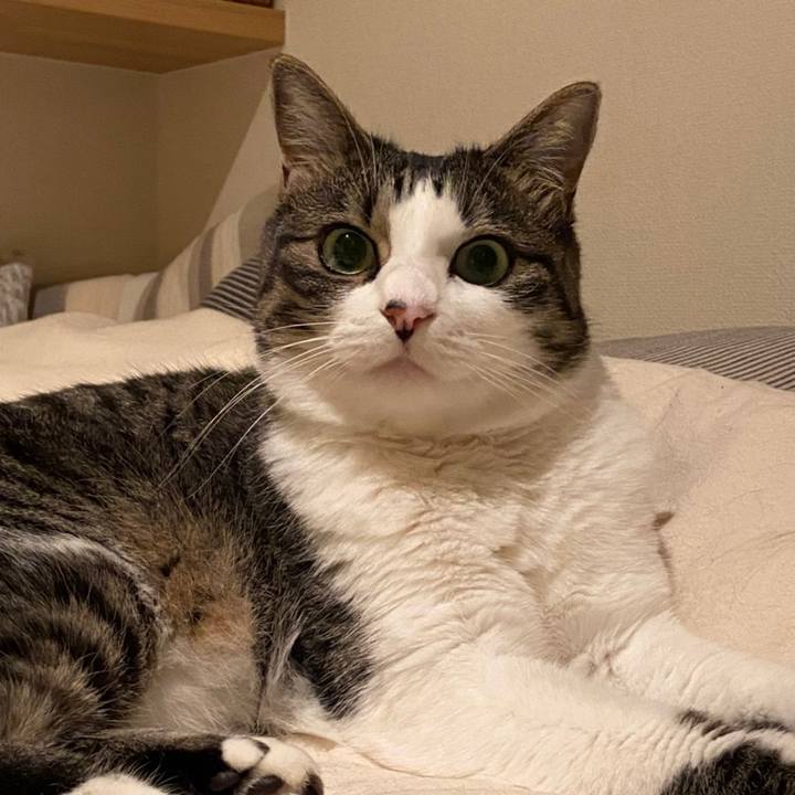 2003d26b dea4 4e04 9e25 b21c4cc29f8d 1593224890528