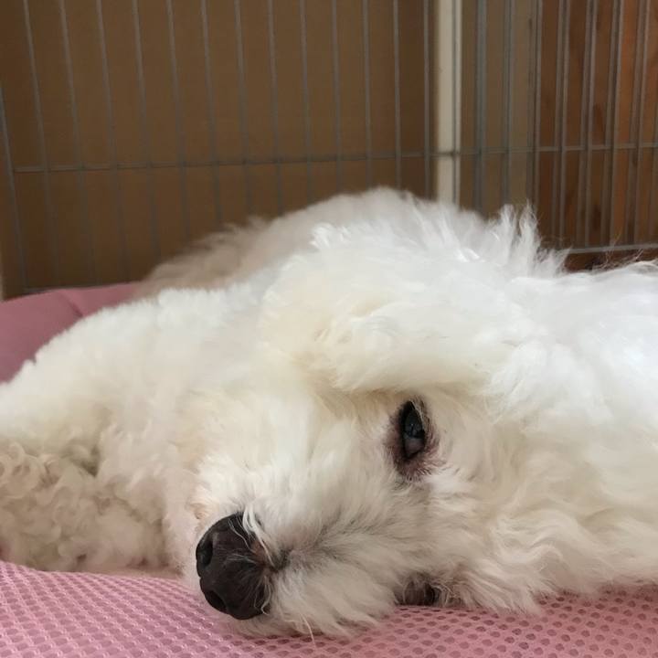 2003ea39 e4ed 433c 841a aa0a4b0e8145 1595835611408