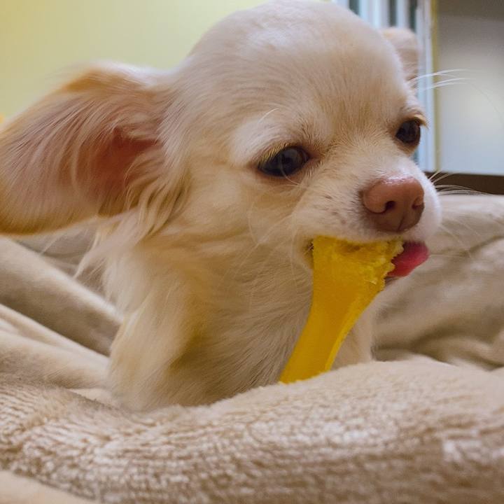 2003eb99 1fa1 4389 99d2 9583e43003b0 1610539912723