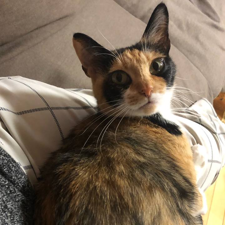 200402c5 558f 472d b02b 62b3e6e901da 1557573268337