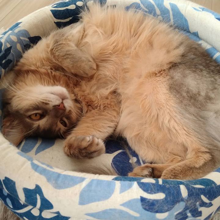 20040484 5e21 4b33 8699 3f2f085fa7e9 1605611643087