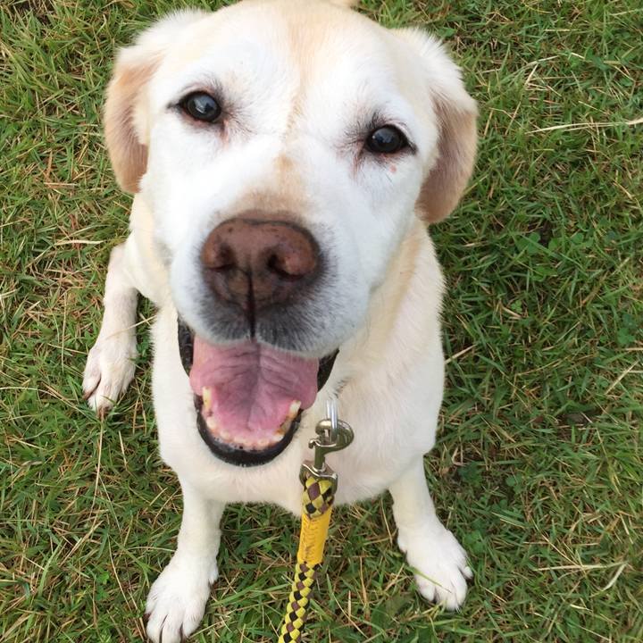 2004266f dd1d 45a1 affd 0ffcf7d35233 1507936938351