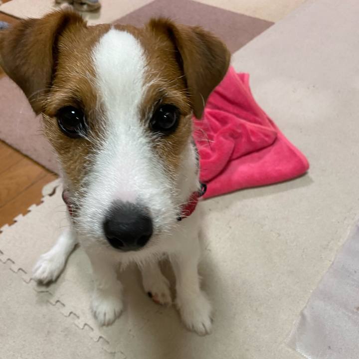 200441c7 7bfc 44c6 938e dd9cd07e0ee3 1622327861128