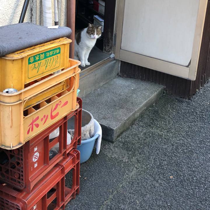 2004501a 3192 4448 8c81 f8e7db9cc80f 1524396806899