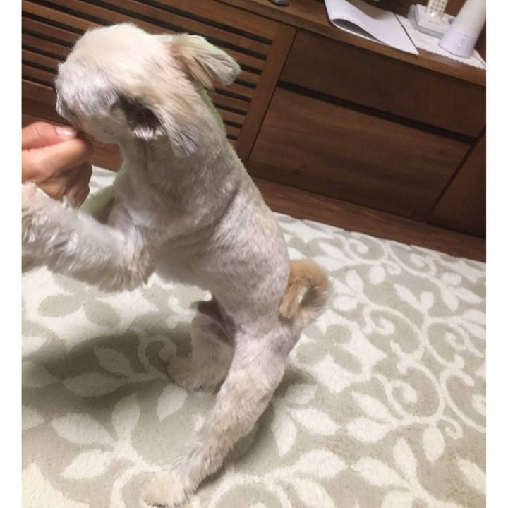 2004524f 3e2d 4455 85ff e8dab5c7ce36 1555931370588