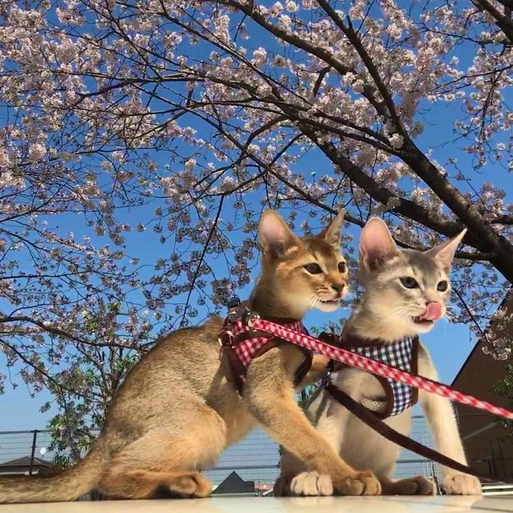 20048454 6579 47dc bea1 cb53dfe8bdc4 1764138567919