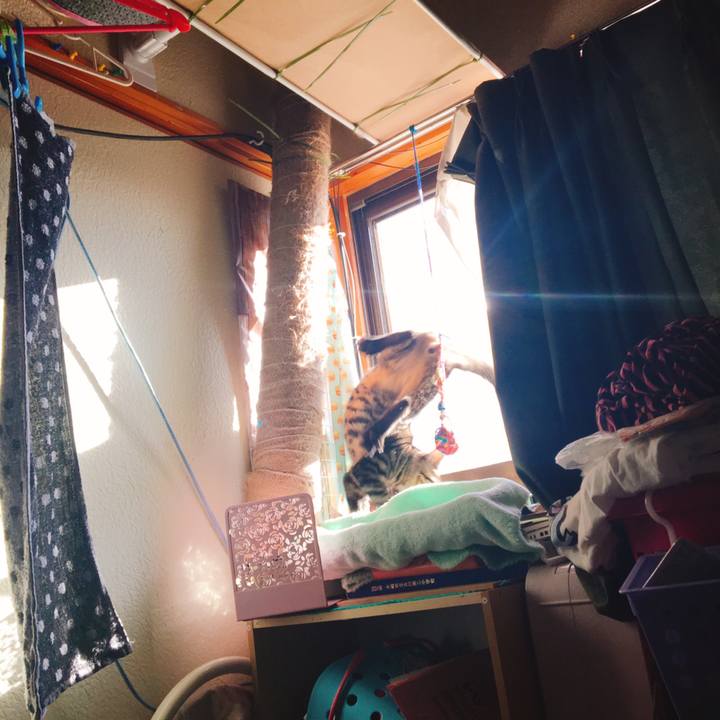 2004c20a 0f60 4dc7 8b65 2765ccfc857d 1542065310168