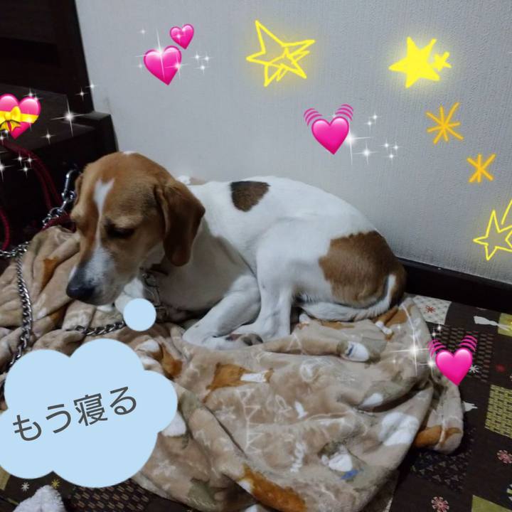 2004ce2e b1ef 458e ac8e 8e2de9704172 1584198618531