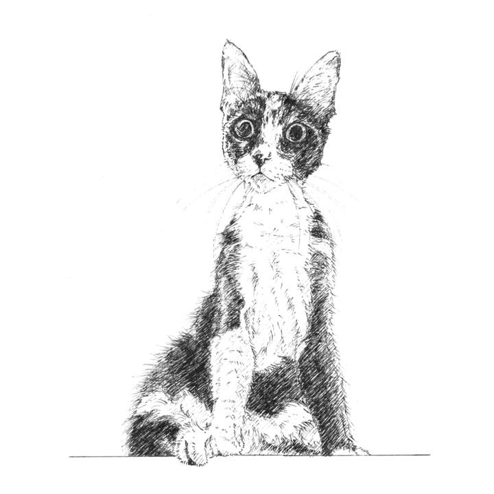 200538ce 7c24 400a 9b06 e1f3833873e5 1624664375564