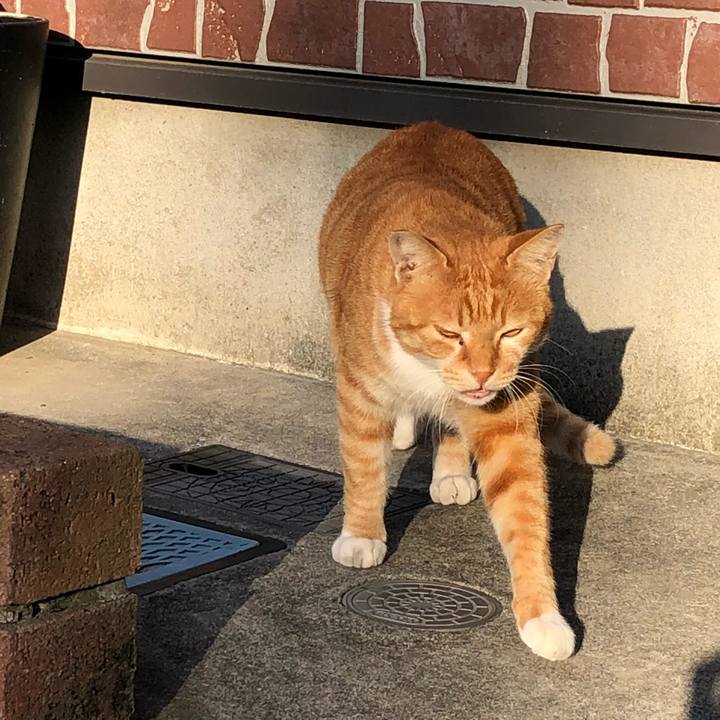 2005a86e 5fab 49fa 83b9 ea89d67cc933 1540170783117