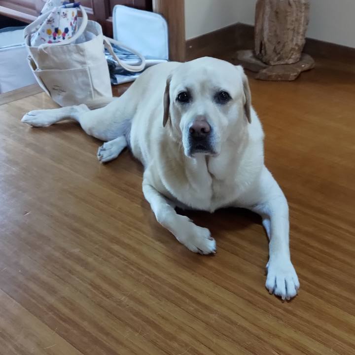 2005a938 cc6d 4ac6 a8b3 eba5601d1c9b 1666582838571