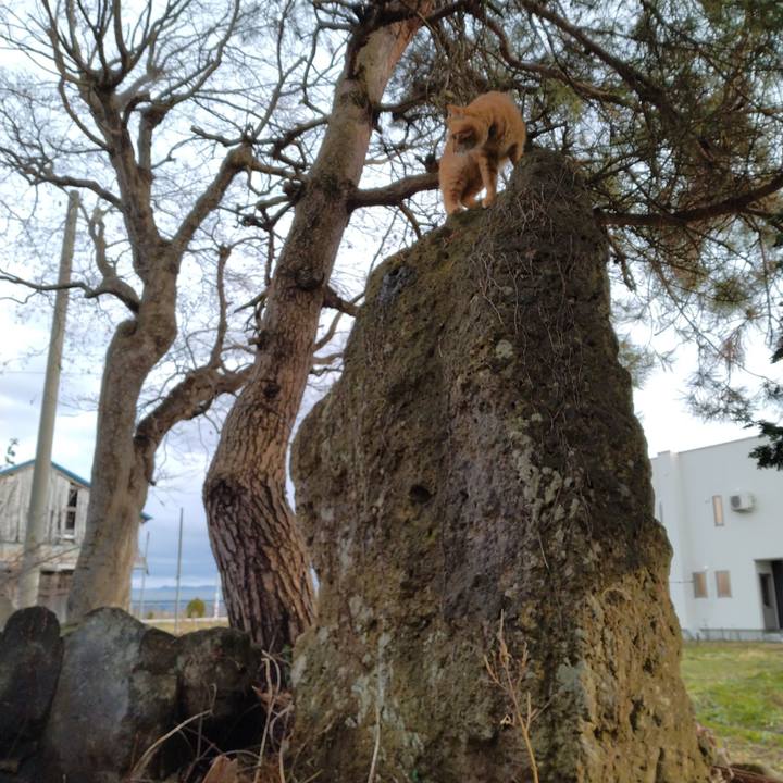 2005cc04 479f 4e37 9cce 105de128d1a0 1702709002191