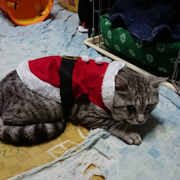 2005d7f9 5e7b 498f a6a7 4c574905606e 1512987781503