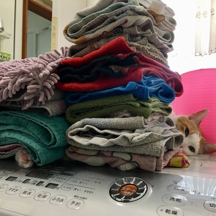 20060497 b2ec 477d 8a46 63446284cecd 1530276964315