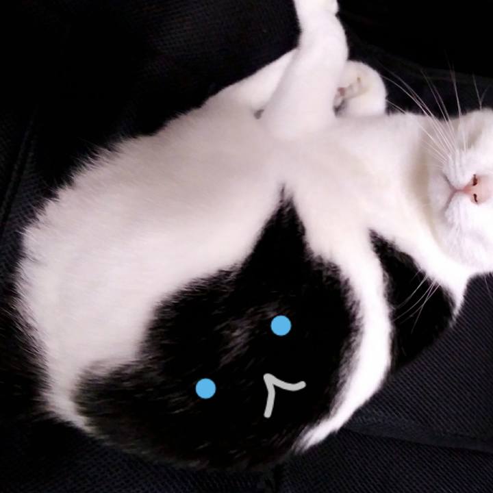 20060e7e 8bca 4fa8 aed2 bc4ba271767a 1554722438159