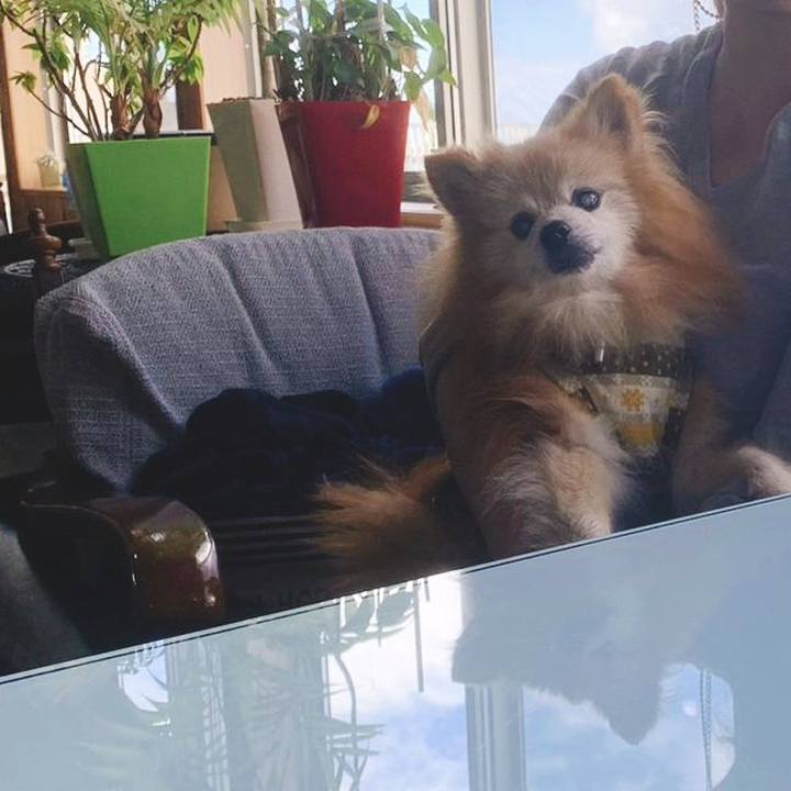 20062723 34ac 43a9 9709 9e4366957aec 1697494261304