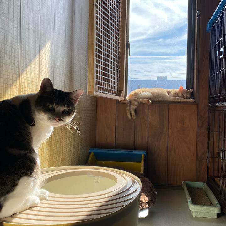 2006307e d0bf 4c0d a071 cafef24131e9 1732525516120