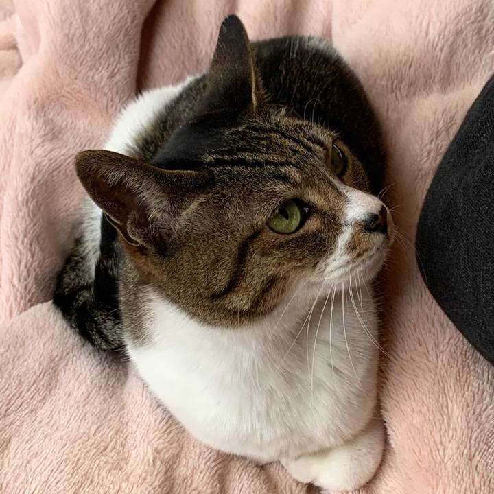 2006802a 63e4 47ca a685 e830602219b5 1585876849133