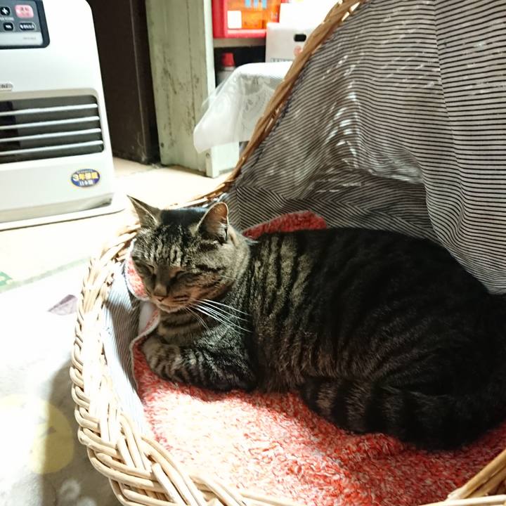 200696af b3f9 49fa b43f 4ae94b866dee 1639996524793