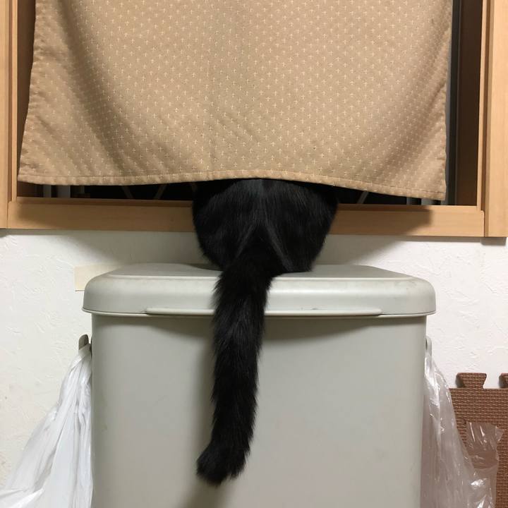 2006a44f 4b94 4db8 b9f7 3420c1e3bad4 1535803178601